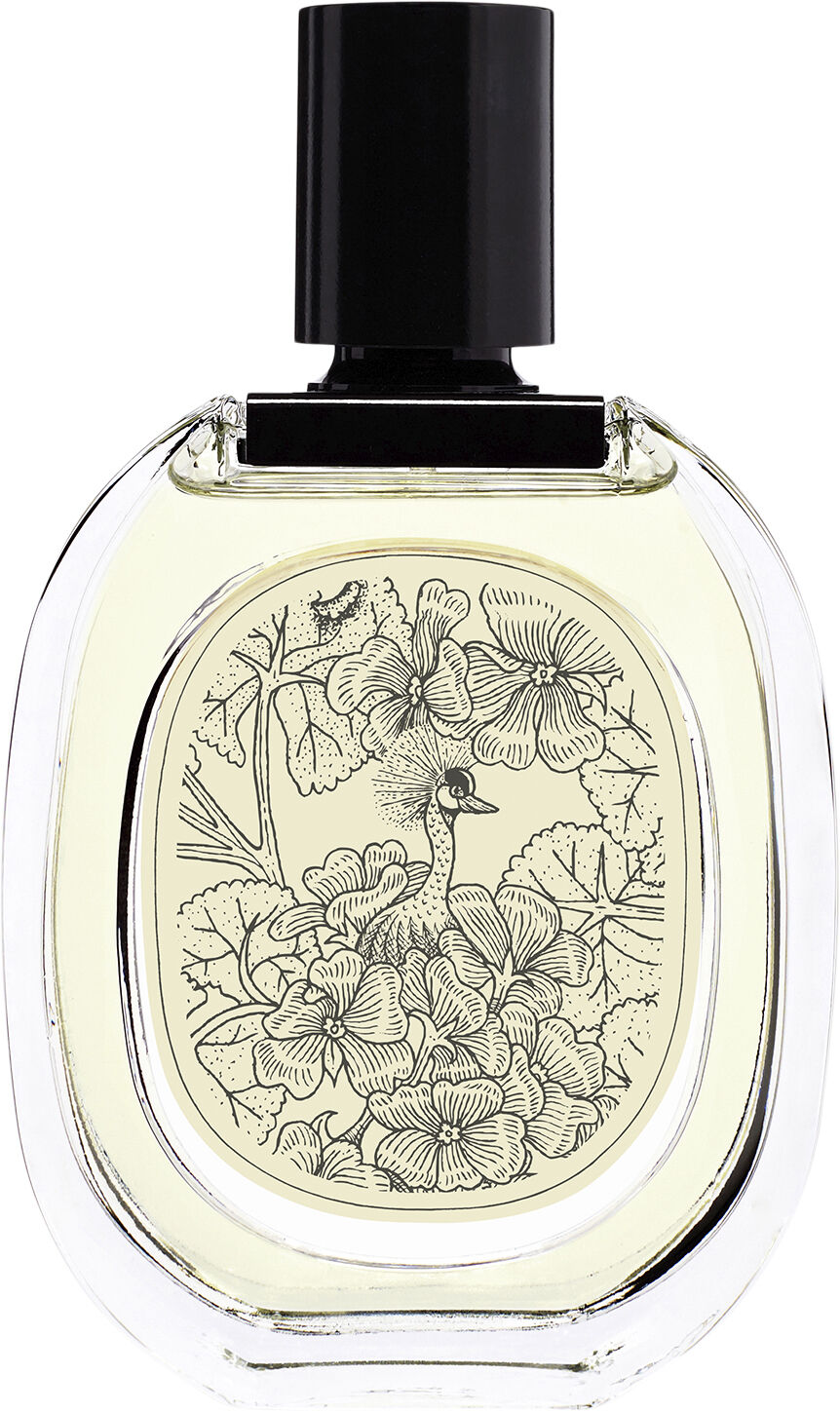 diptyque GERANIUM ODORATA 香水　100ml Amazon.com : Diptyque Geranium Odorata 100 ml,Lumbar Cushion